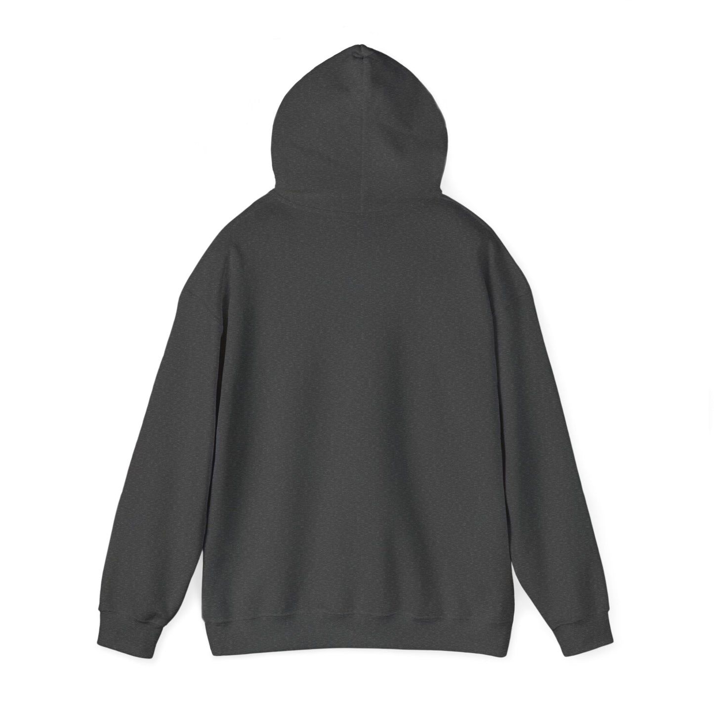 Space Rabbit Hoodie